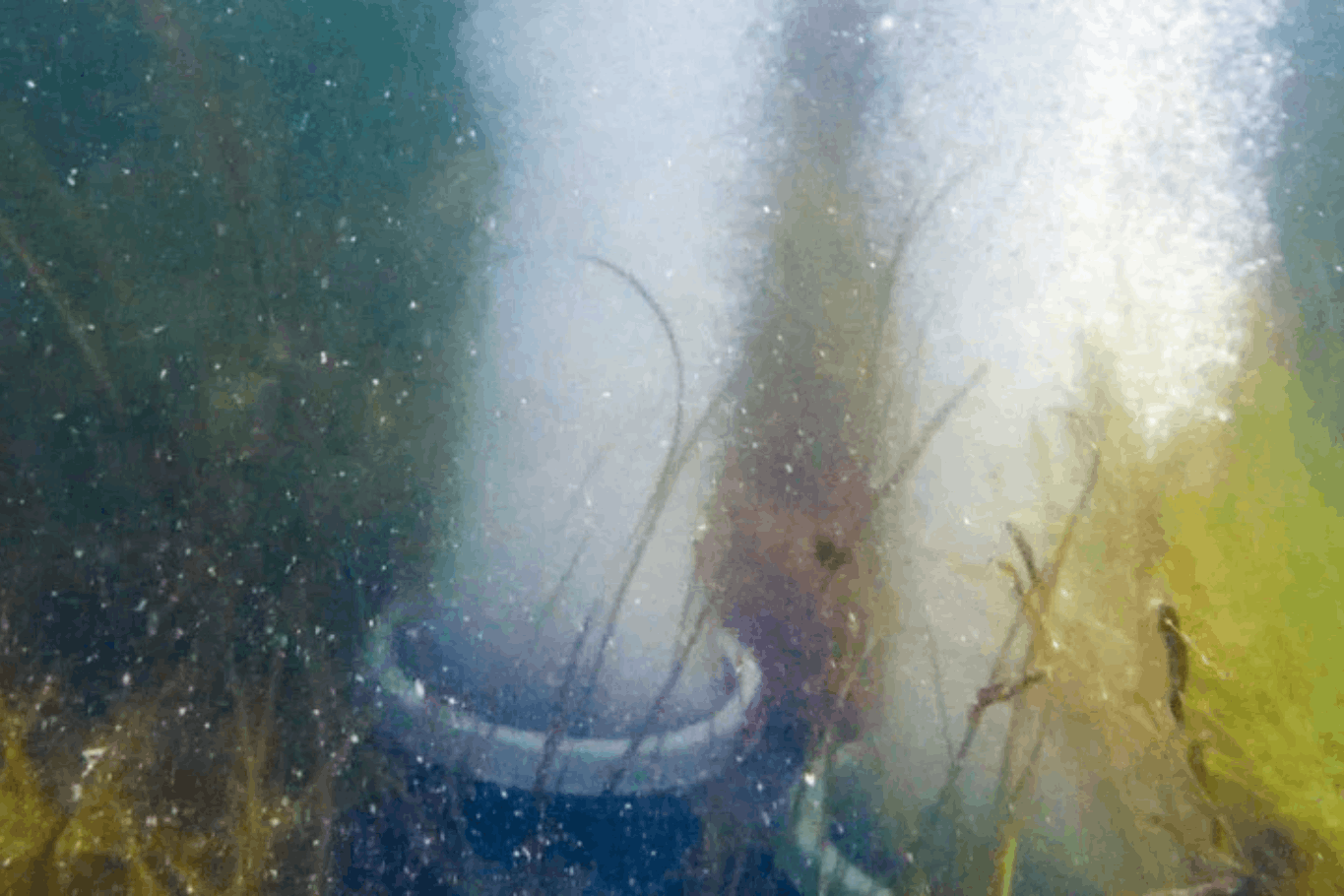 Hero image for the Pond Aerator Blog