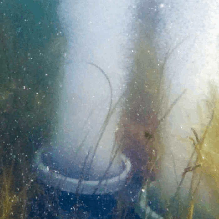 Hero image for the Pond Aerator Blog