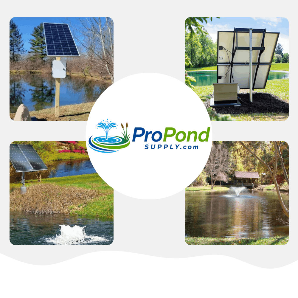 4 different Solar Pond Aerators set up in different ponds
