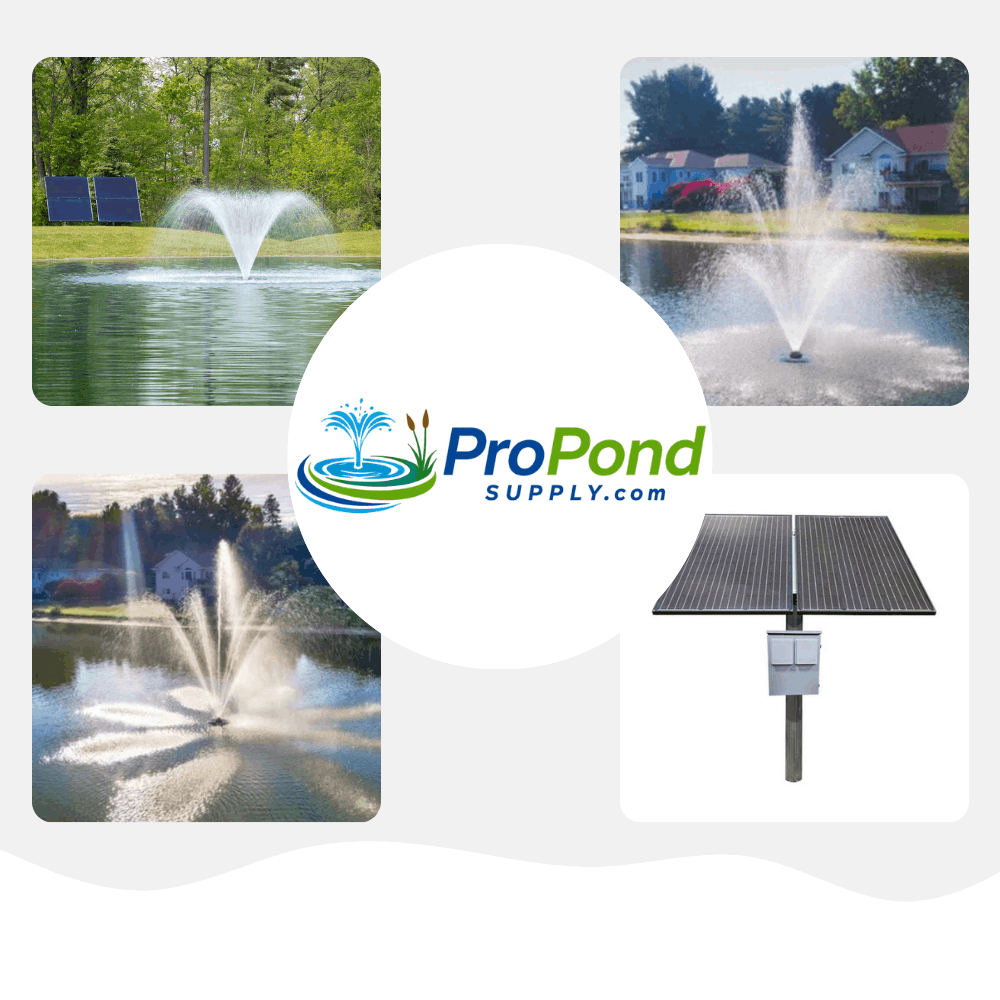 4 different Solar Pond Fountains installed in differernt fountains