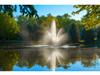 Cambridge Pond Fountain by Scott Aerator creating a mirrored water display in a wooded pond