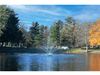 Cambridge Pond Fountain by Scott Aerator spraying in a tree-lined residential pond