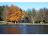 Cambridge Pond Fountain by Scott Aerator spraying in a tree-lined residential pond