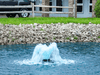 Close-up of the Scott Aerator Boilermaker aerator operating near a stone shoreline