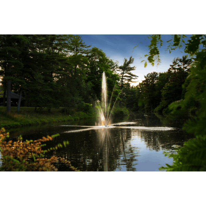 Clover Pond Fountain by Scott Aerator framed by greenery on a wooded pond