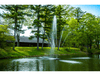 Clover Pond Fountain by Scott Aerator in a landscaped pond near a building