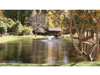 DA-20 by Scott Aerator installed as decorative pond fountain in park-like setting