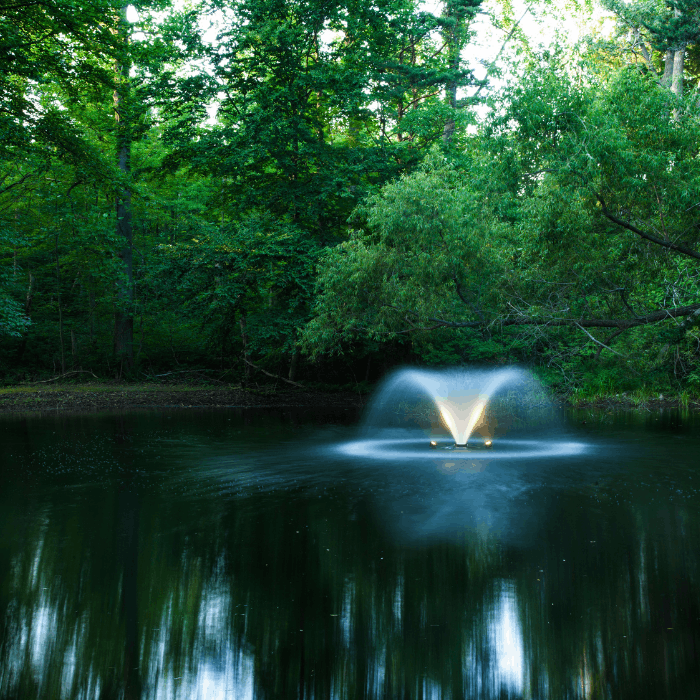 DA-20 pond fountain by Scott Aerator creating illuminated spray pattern in secluded pond