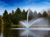 Daytime pond view with the Scott Aerator Skyward fountain spraying in front of evergreen trees