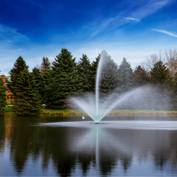 Daytime pond view with the Scott Aerator Skyward fountain spraying in front of evergreen trees