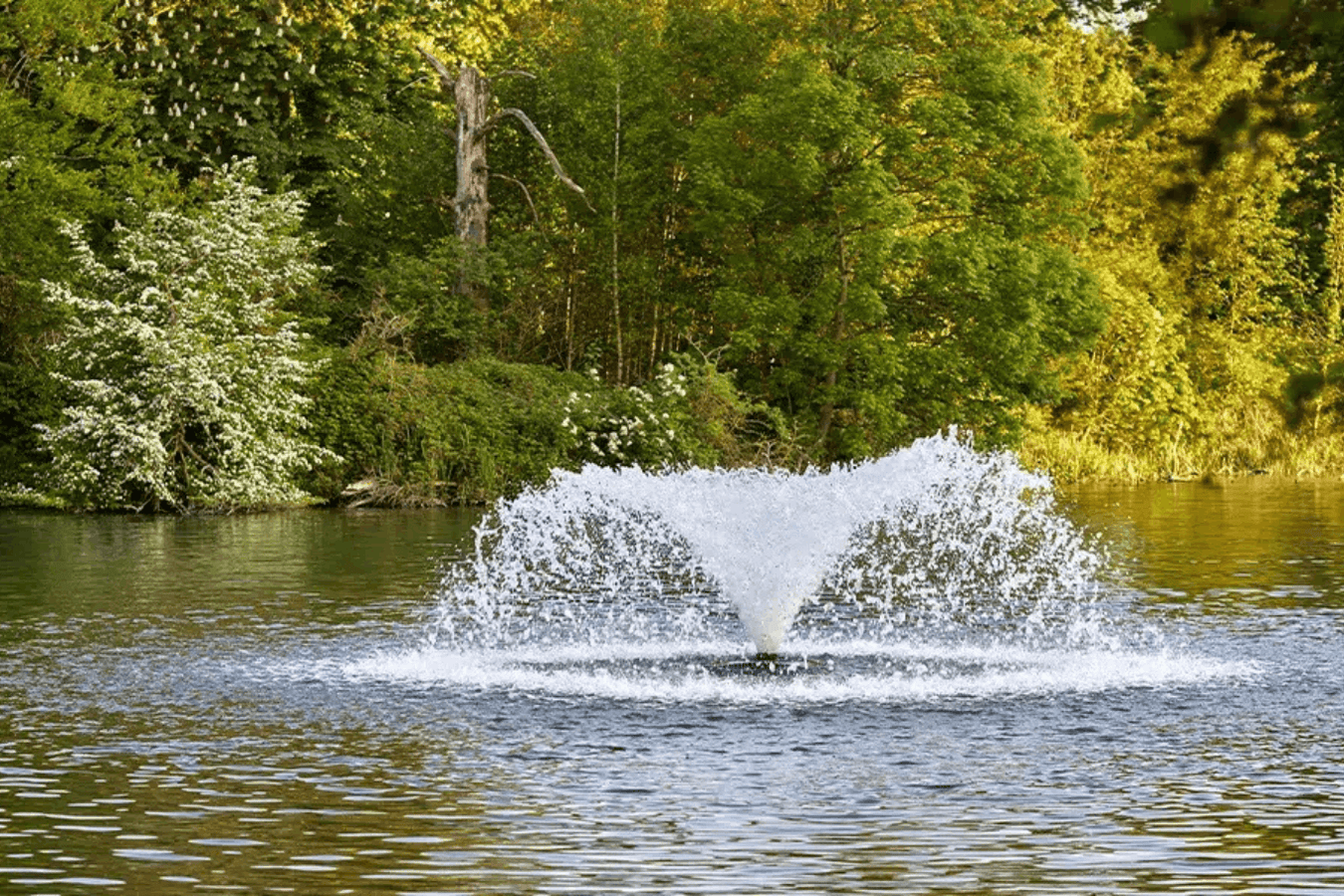 Decorative pond aerator fountain creating a wide water spray on a tree-lined pond in a natural landscape