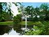 Framed by greenery, the Scott Aerator Gusher fountain rises from a calm residential pond
