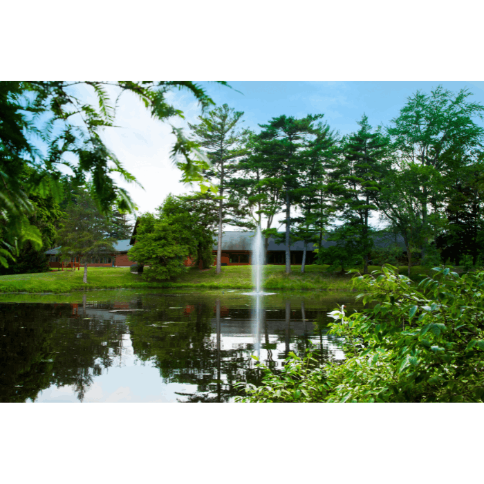 Framed by greenery, the Scott Aerator Gusher fountain rises from a calm residential pond