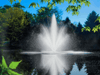 Great Lakes Fountain by Scott Aerator installed in pond with high center plume spray