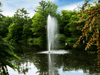 Gusher Pond Fountain by Scott Aerator creating a vertical geyser display in a tree-lined pond