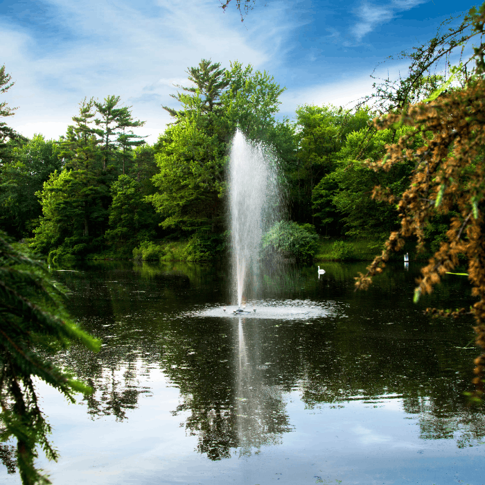 Gusher Pond Fountain by Scott Aerator creating a vertical geyser display in a tree-lined pond