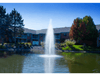 Gusher Pond Fountain by Scott Aerator creating a vertical geyser plume in a residential pond