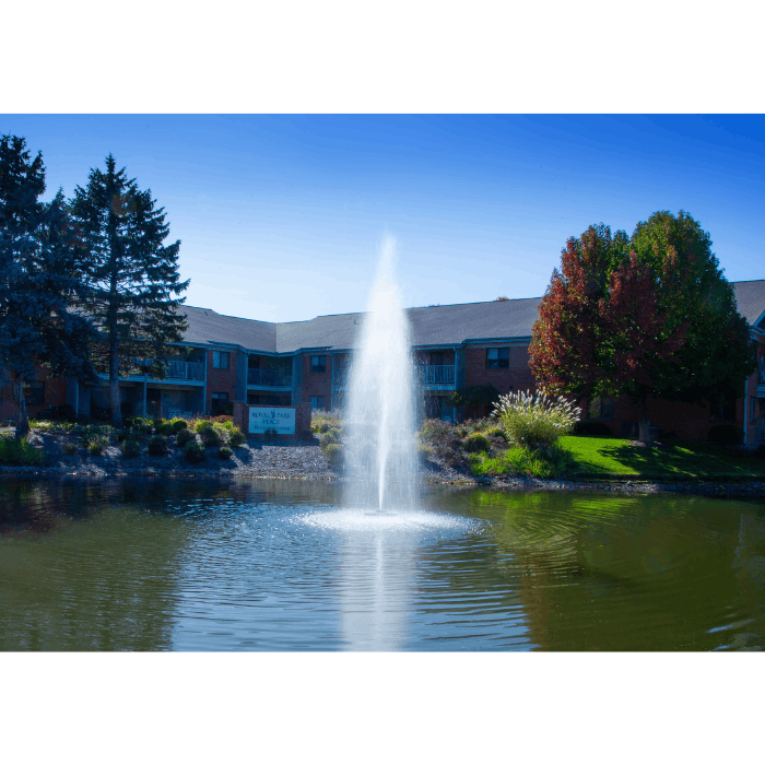 Gusher Pond Fountain by Scott Aerator creating a vertical geyser plume in a residential pond
