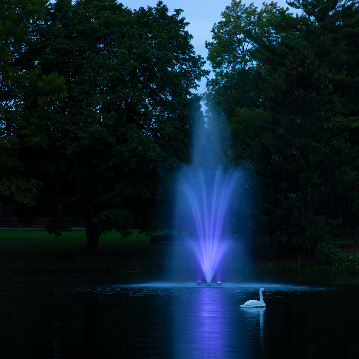 Scott Aerator Amherst Pond Fountain illuminated at night with purple LED lights in a landscaped pond
