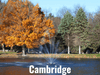 Scott Aerator Great Lakes Fountain with Cambridge spray pattern operating in pond