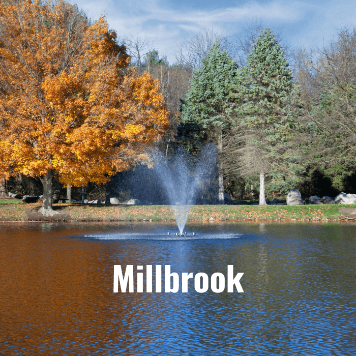 Scott Aerator Great Lakes Fountain with Millbrook spray pattern in landscaped pond