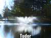 Scott Aerator Great Lakes Fountain with Tudor spray pattern operating in pond