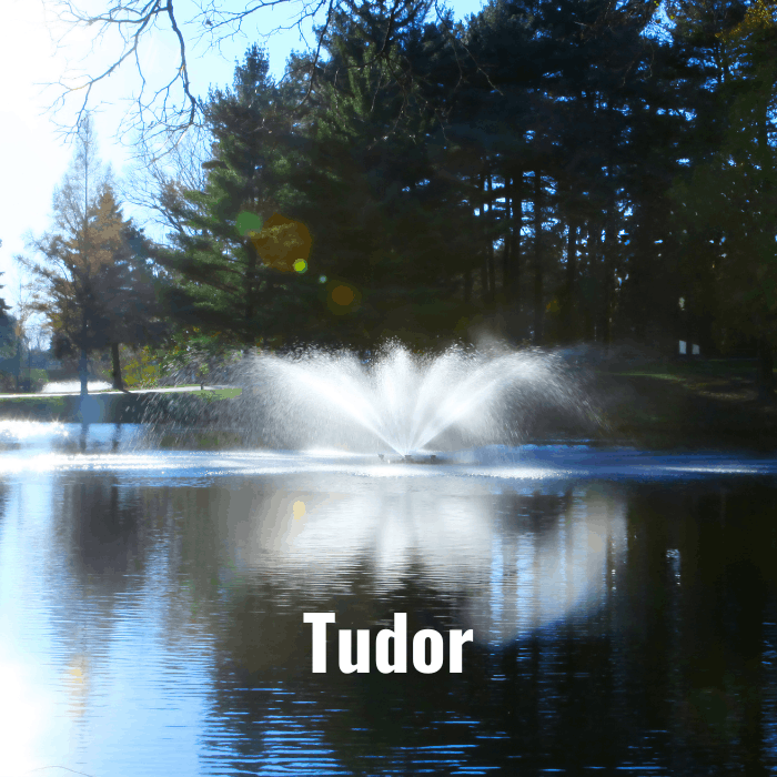 Scott Aerator Great Lakes Fountain with Tudor spray pattern operating in pond