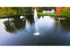 Scott Aerator Gusher fountain creating a tall geyser-style plume in a landscaped pond from above