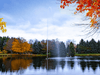 Scott Aerator Jet Stream Pond Fountain operating on a pond with fall trees in the background