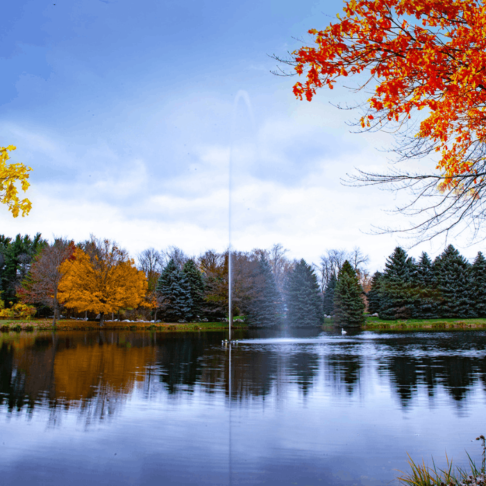 Scott Aerator Jet Stream Pond Fountain operating on a pond with fall trees in the background