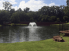 Scott Aerator North Star aerating pond fountain operating in landscaped residential pond