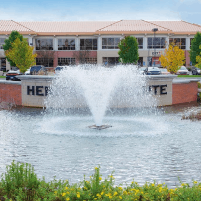 Scott Aerator North Star pond fountain installed in commercial entry pond with aerating spray pattern