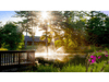Scott Aerator Skyward fountain glowing in a landscaped pond near a deck and flowers