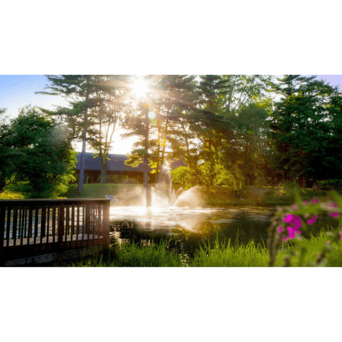 Scott Aerator Skyward fountain glowing in a landscaped pond near a deck and flowers