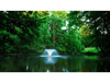 Scott Aerator pond fountain DA-20 operating in wooded lake with reflective water surface