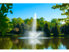 Skyward fountain by Scott Aerator spraying in a calm pond bordered by trees