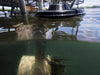 AquatiClear system installed beneath a dock with submerged motor unit visible below the water surface