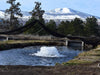 Kasco operating in a small pond with snow-covered mountains in the background during cold weather conditions