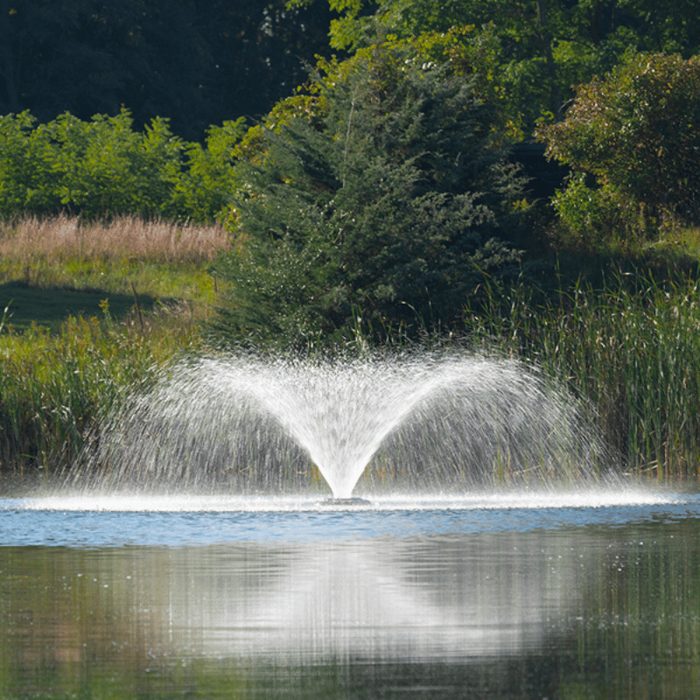 Kasco VFX on the water with trees in the background