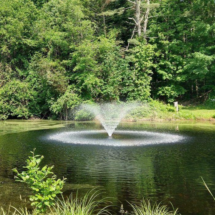 Kasco VFX Series operating in a natural pond surrounded by dense green trees