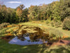 Pond with algae growth and murky water conditions shown before treatment with Kasco AquatiClear system