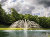 Premium Nozzle Fern nozzle - On water display with trees at the background