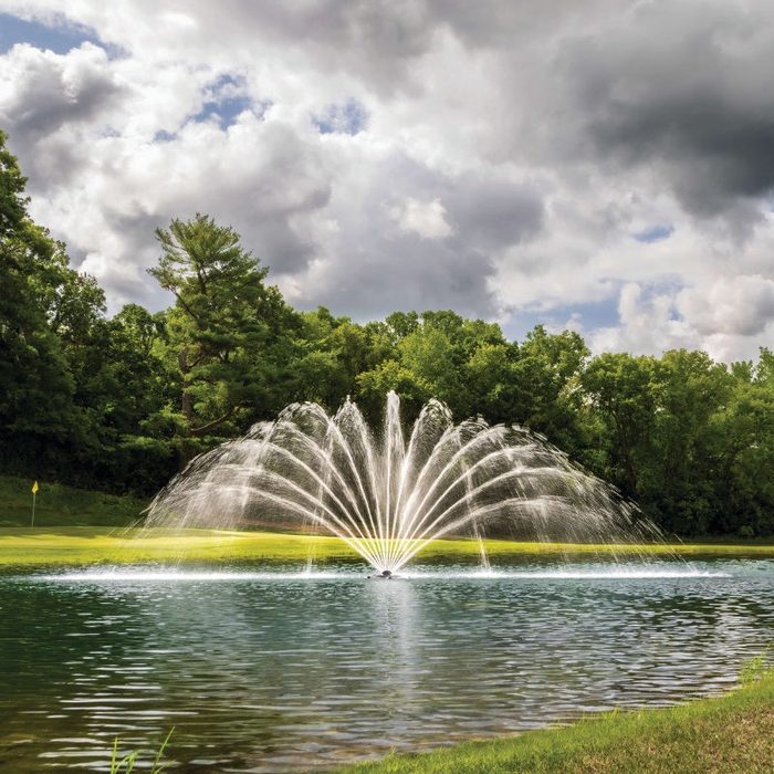 Premium Nozzle Fern nozzle - On water display with trees at the background