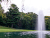 J Series fountain marketing lifestyle shot (pond and shoreline)