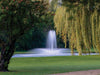 Kasco J Series Fountain fountain marketing lifestyle shot (pond and shoreline view)