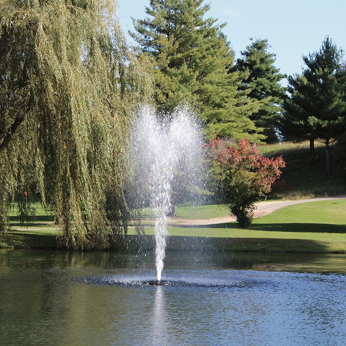 J Series Fountain Sequoia nozzle - tall narrow geyser spray pattern