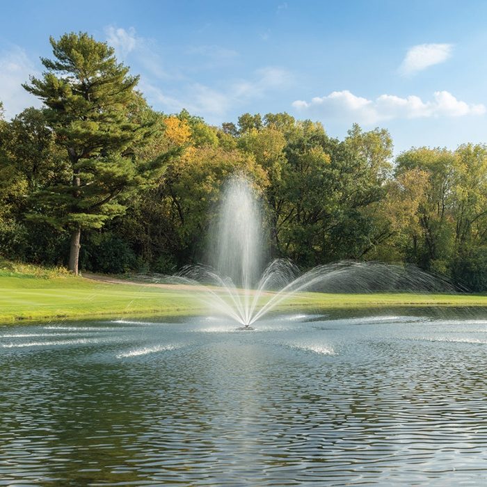 Premium Fountain Nozzle Madrone nozzle - On water display with trees at the background
