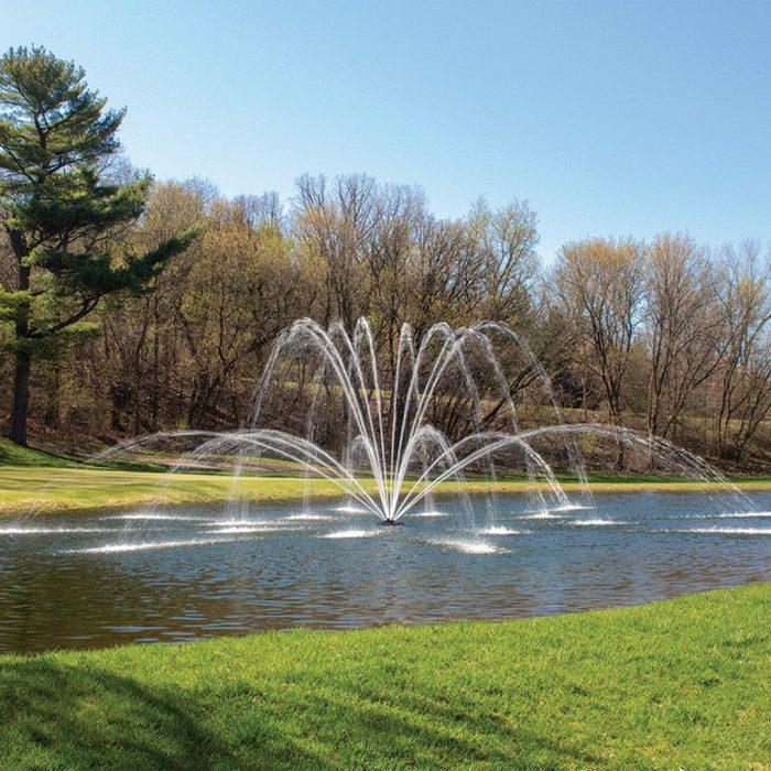 Premium Nozzle Magnolia nozzle - On water display in a pond with trees and grass in the background