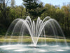 Premium Fountain Nozzle Palm nozzle - On water display in a park with trees and grass in the background