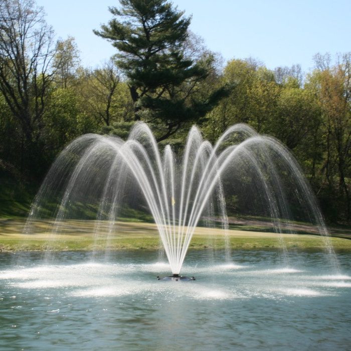 Premium Fountain Nozzle Palm nozzle - On water display in a park with trees and grass in the background